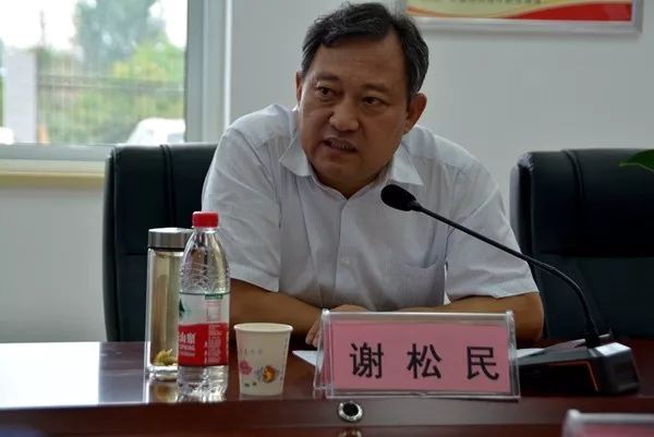 副市长谢松民深入唐河县调研电子商务工作