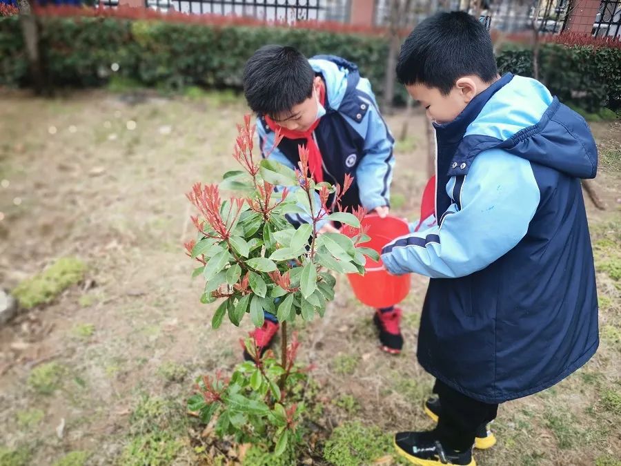 红领巾心向党校园树木我保护康平小学红领巾心向党植绿护绿我当先活动