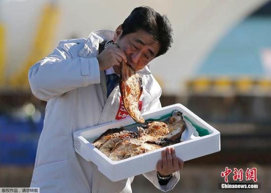 当地时间12月2日，日本首相、自民党党首安倍晋三在日本福岛相马市参加一场活动，为12月14日的众院选举拉票。为了讨好当地民众，安倍在活动现场品尝当地特色烤鱼，显示对农产品的支持。